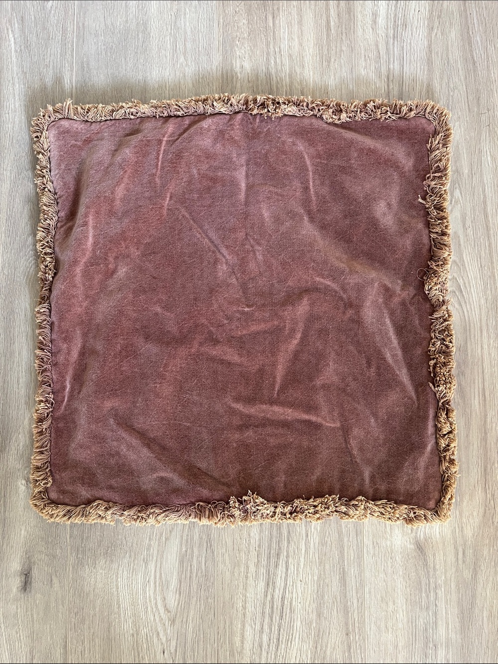 Pair of velvet pillow cases